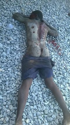 1528601_706332492782552_3757837489784848747_n