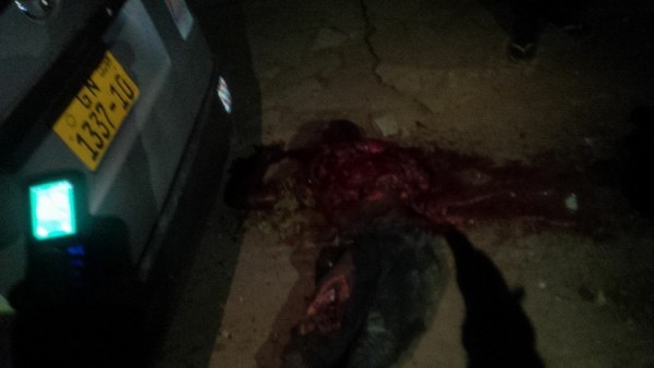 12006162_894872127248070_67653402385470270_n