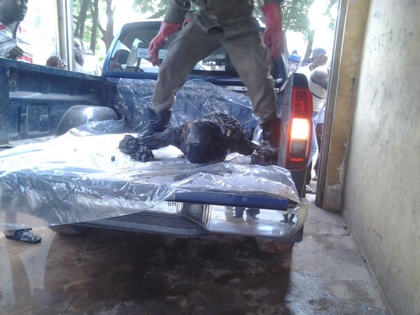 12359998_923997037682762_8111007949014969919_n