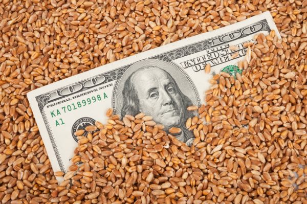 Agricultural income concept