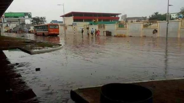 16996121_10210631551857016_4399867030111187006_n