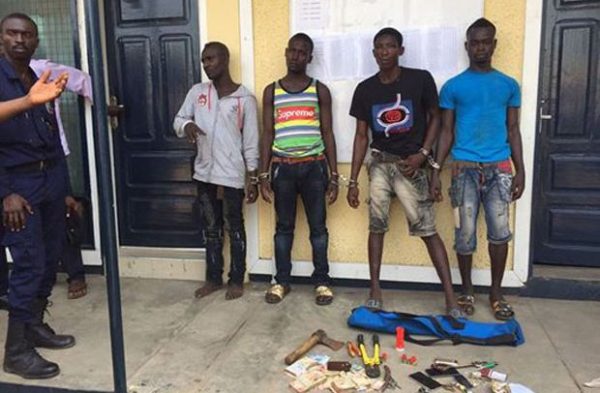 tema-robbers-620x406