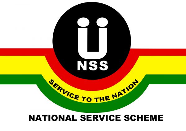 nss-logo-233times