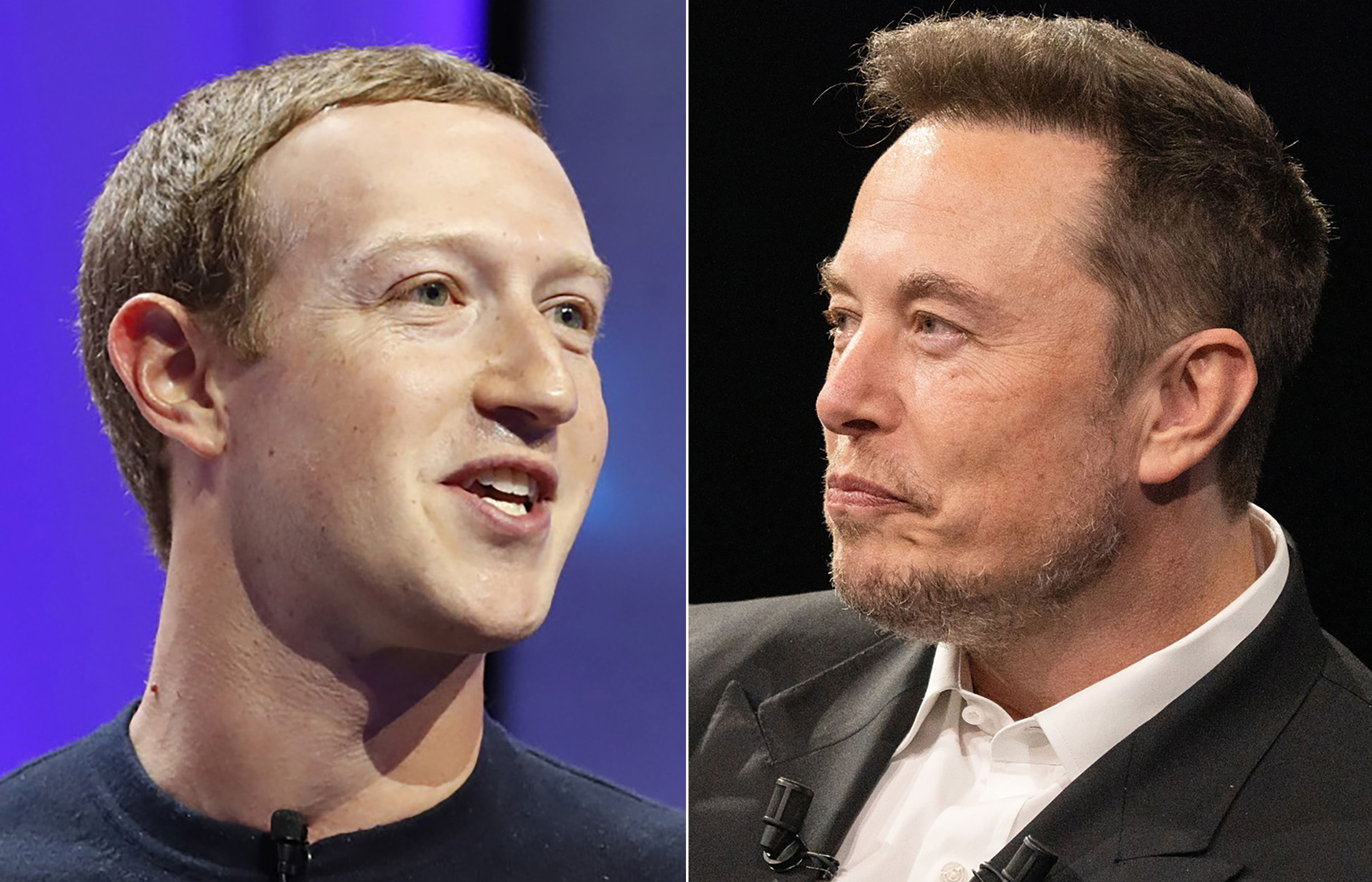 Zuckerberg Says Musk 'not Serious' About Cage Fight