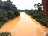 Fertility Society of Ghana links galamsey chemicals to rising infertility rates