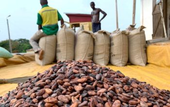 Cocoa smuggling costs Ghana over $1bn in three years