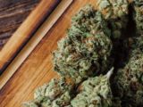 Ghana officially opens applications for cannabis licensing – Here’s how to apply