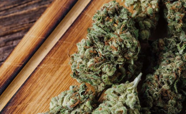Ghana officially opens applications for cannabis licensing – Here’s how to apply