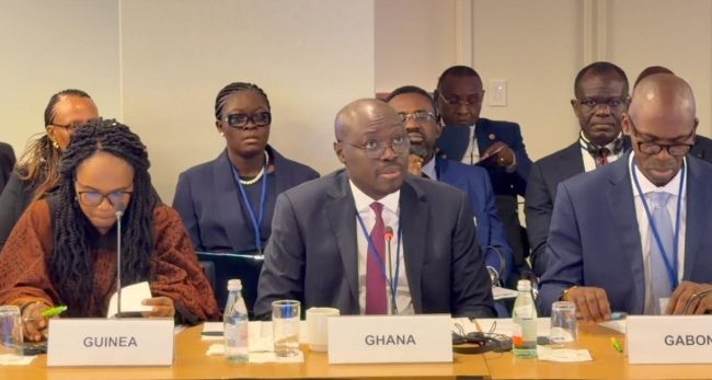 World Bank praises Ghana economy but warns over energy sector risks